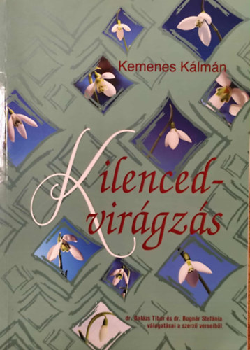 Kilencedvir�gz�s