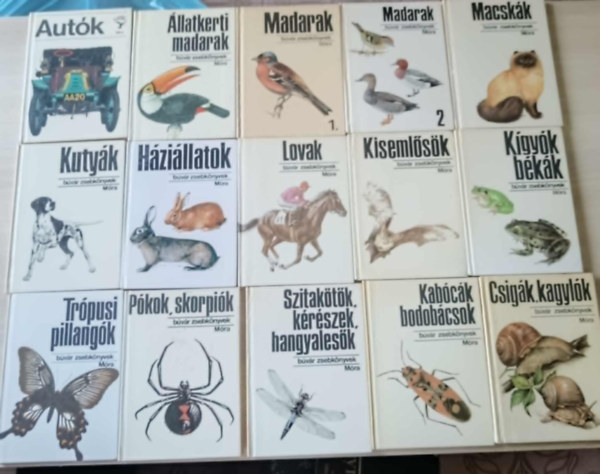 38 db Bvr zsebknyv-cmek a kpen