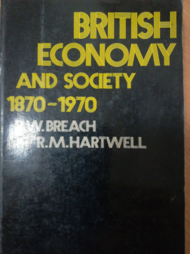 British economy and society