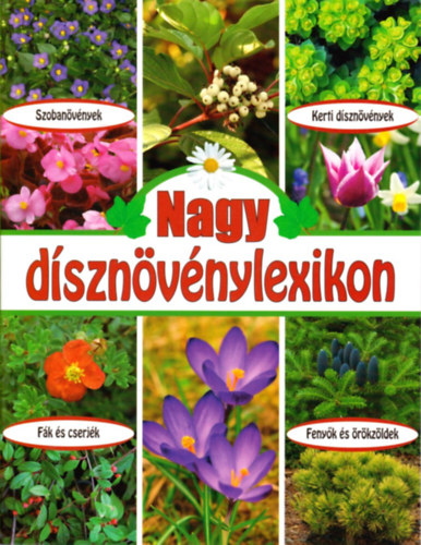 Nagy dsznvnylexikon