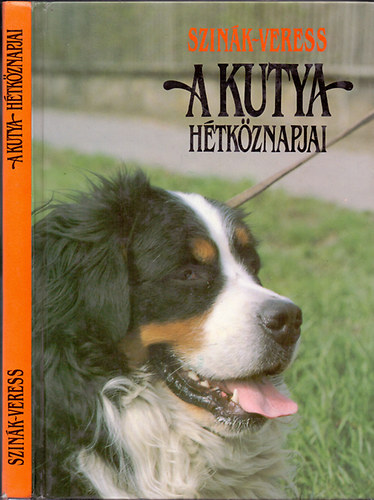 A kutya h�tk�znapjai    - Nevel�s �s kik�pz�s - Kutyateny�szt�si alapismeretek