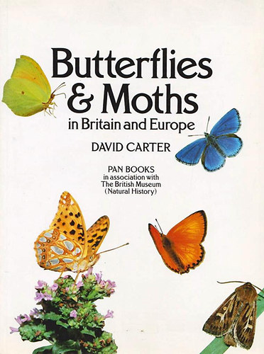 David Carter - Butterflies & Moths in Britain and Europe