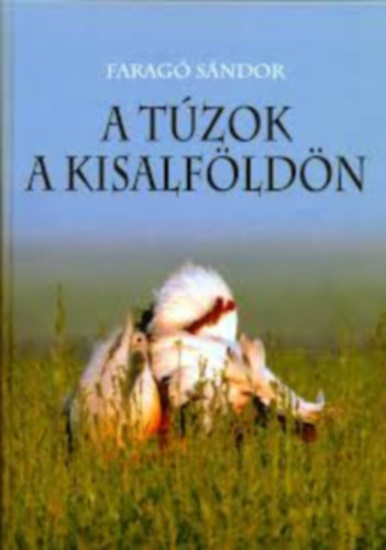 A t�zok a Kisalf�ld�n