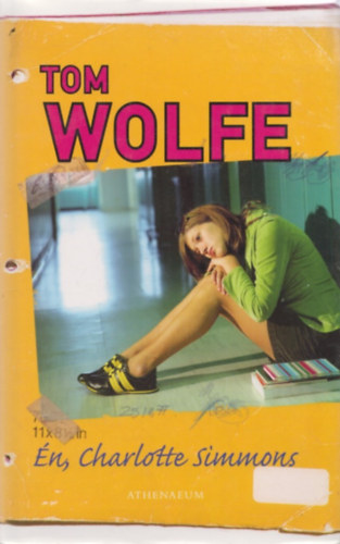 Tom Wolfe - n, Charlotte Simmons