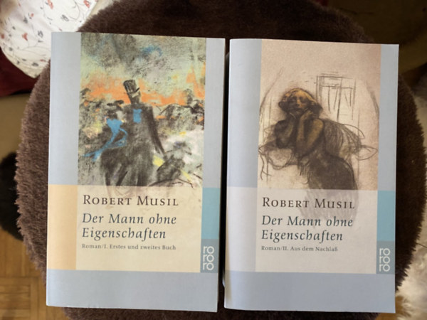Robert Musil - Der Mann ohne Eigenschaften I-II.