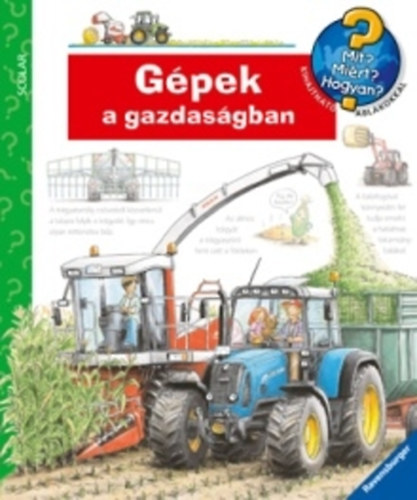 Andrea Erne - Gpek a gazdasgban