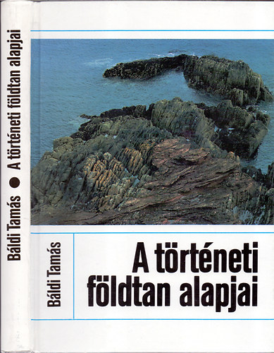 A trtneti fldtan alapjai