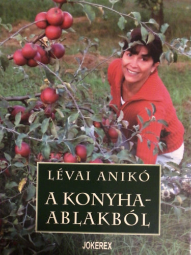 A konyhaablakbl