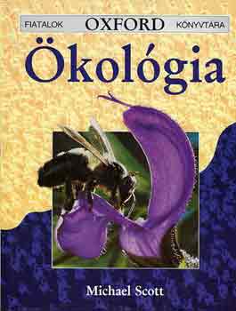 kolgia (Oxford)