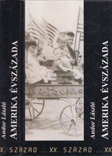 Amerika vszzada
