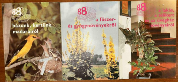 88 sznes oldal
