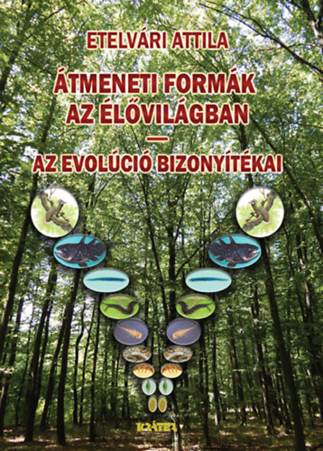 �tmeneti form�k az �l�vil�gban