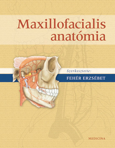 Maxillofacialis anat�mia