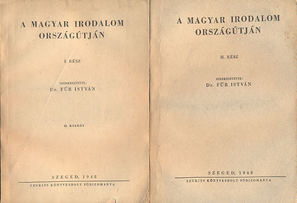 A magyar irodalom orszgtjn I-II.