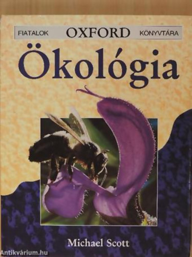 kolgia - Fiatalok OXFORD Knyvtra