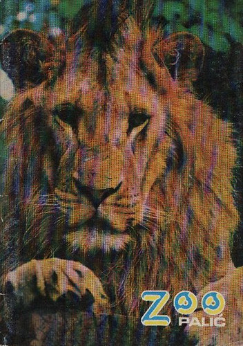 Zoo Palic