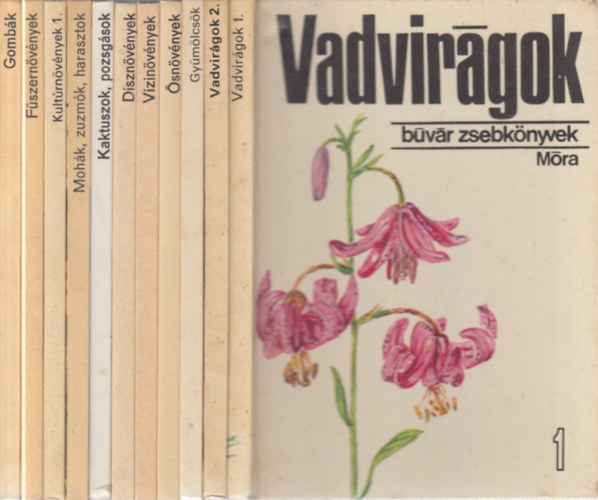 11 db. B�v�r zsebk�nyvek (Vadvir�gok 1-2. + Gy�m�lcs�k + �sn�v�nyek + V�zin�v�nyek + D�szn�v�nyek + Kaktuszok, pozsg�sok + Moh�k, zuzm�k, harasztok + Kult�rn�v�nyek 1. + F�szern�v�nyek + Gomb�k)