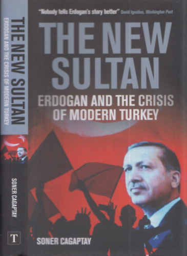 The New Sultan (Erdogan and the Crisis of Modern Turkey)