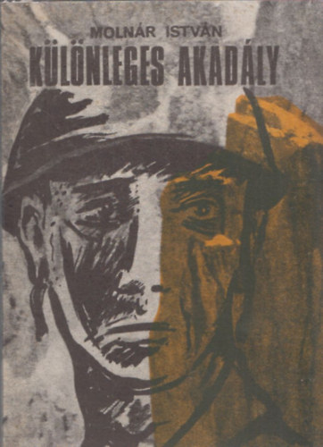 K�l�nleges akad�ly