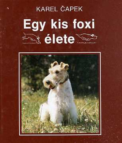 Karel Capek - Egy kis foxi lete