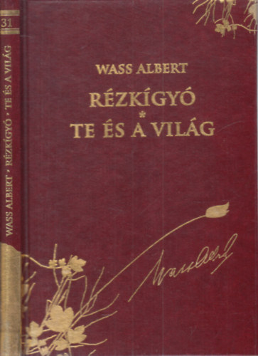 Rzkgy - Te s a vilg (Dszkiads 31.)