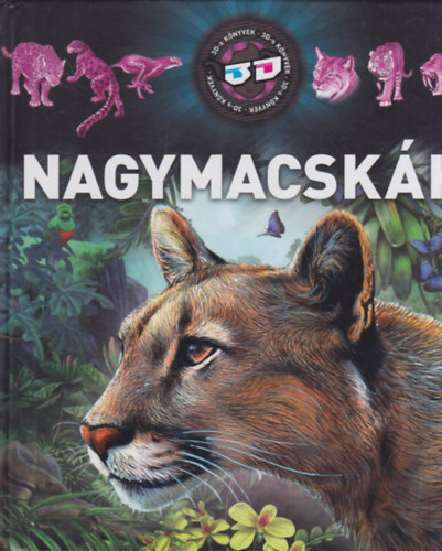 Nagymacskk