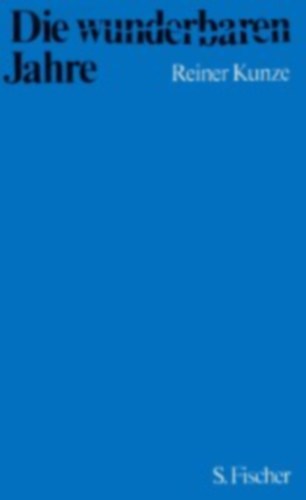 Die wunderbaren Jahre