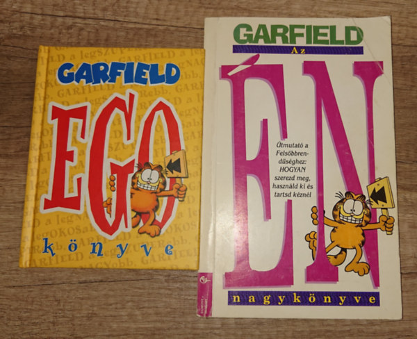 2 könyv Garfieldról: Garfield Edo könyve, Az én nagykönyve