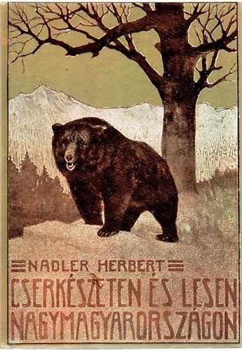 Cserkszeten s lesen Nagymagyarorszgon