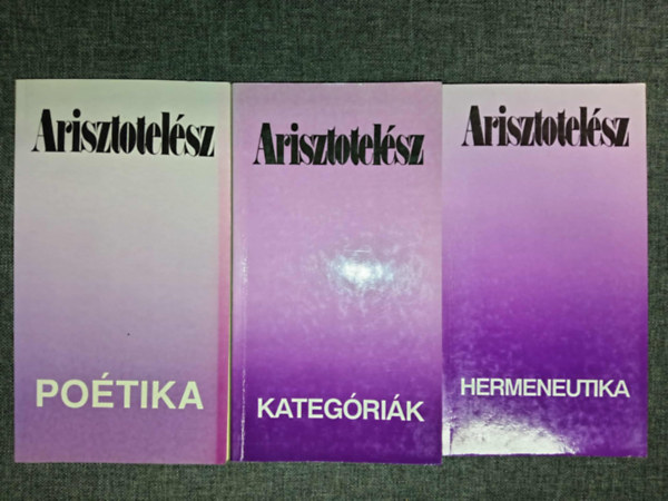 Po�tika, kateg�ri�k, hermeneutika