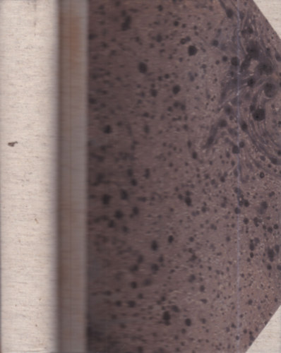 Dr. Moravcsik Ern Emil - Gyakorlati elmekrtan