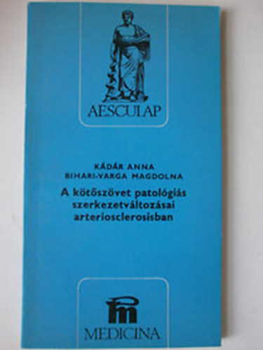 A k�t�sz�vet patol�gi�s szerkezetv�ltoz�sai arteriosclerosisban