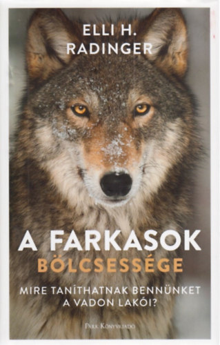 A farkasok blcsessge