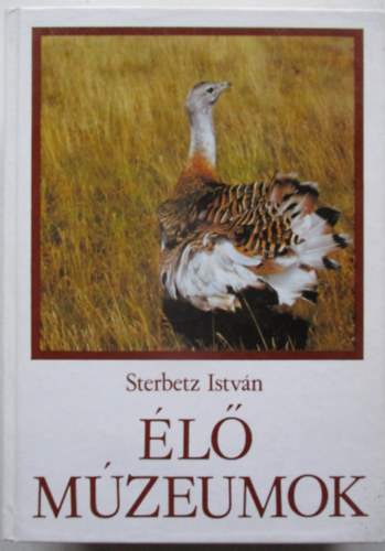 l mzeumok