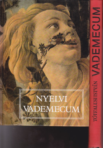 2 db "vademecum " knyv: Nyelvi vademecum + Vademecum.