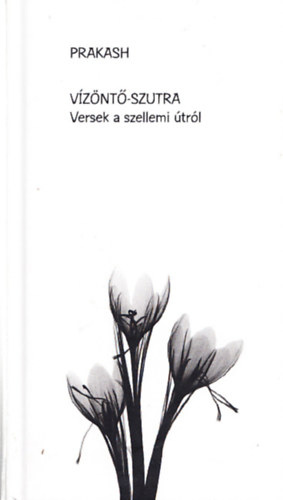 Vznt-szutra - Versek a szellemi trl (Dediklt)