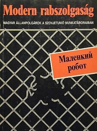 Modern rabszolgasg-Magyar llampolgrok a SZU.munkatboraiban