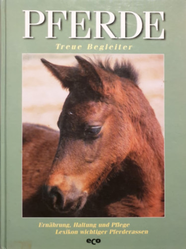 Joachim Grau - Holger Vornholt - Pferde - Treue Begleiter