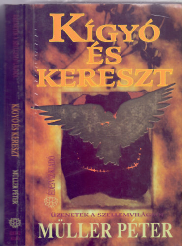 Kgy s kereszt     - Reinkarnci a gyakorlatban
