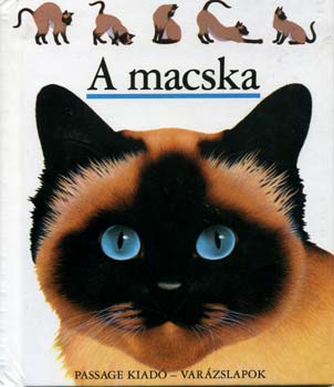 A macska