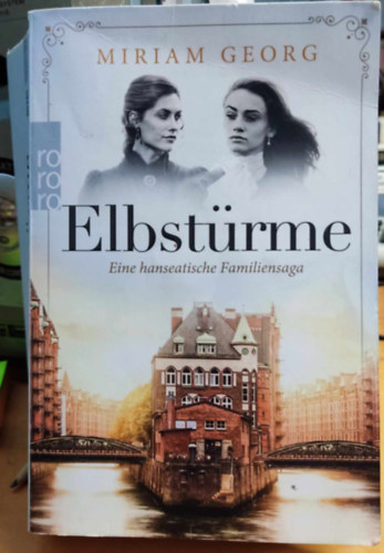 Elbstrme (Eine hanseatische Familiensaga)