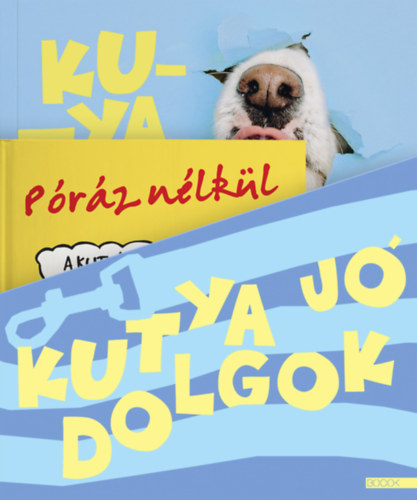 Kutya j� dolgok - d�szdoboz