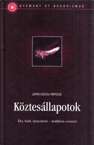Kztesllapotok - let, hall, jraszlets - buddhista szemmel