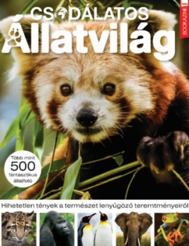 Csod�latos �llatvil�g