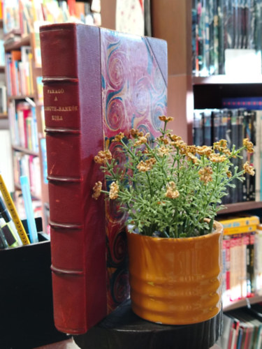 A Kossuth-bank�k kora (A szabads�gharc p�nz�gyei)