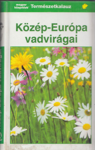 Kzp-Eurpa vadvirgai