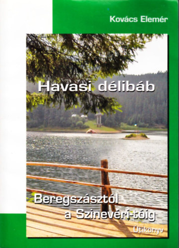 Havasi dlibb - Beregszsztl a Szinevri-tig