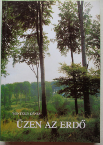 zen az erd