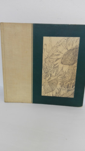 �vig a f�ldbe�sva