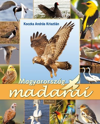 Magyarorszg madarai